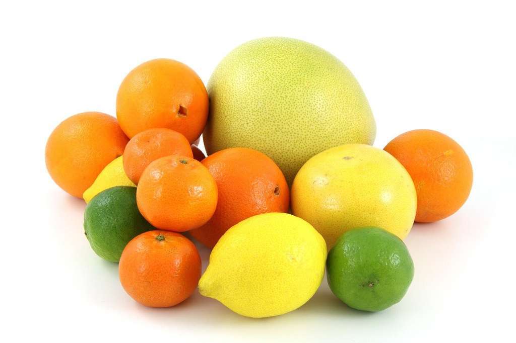 Cítricos bodegón (Foto PublicDomainPictures Pxb)