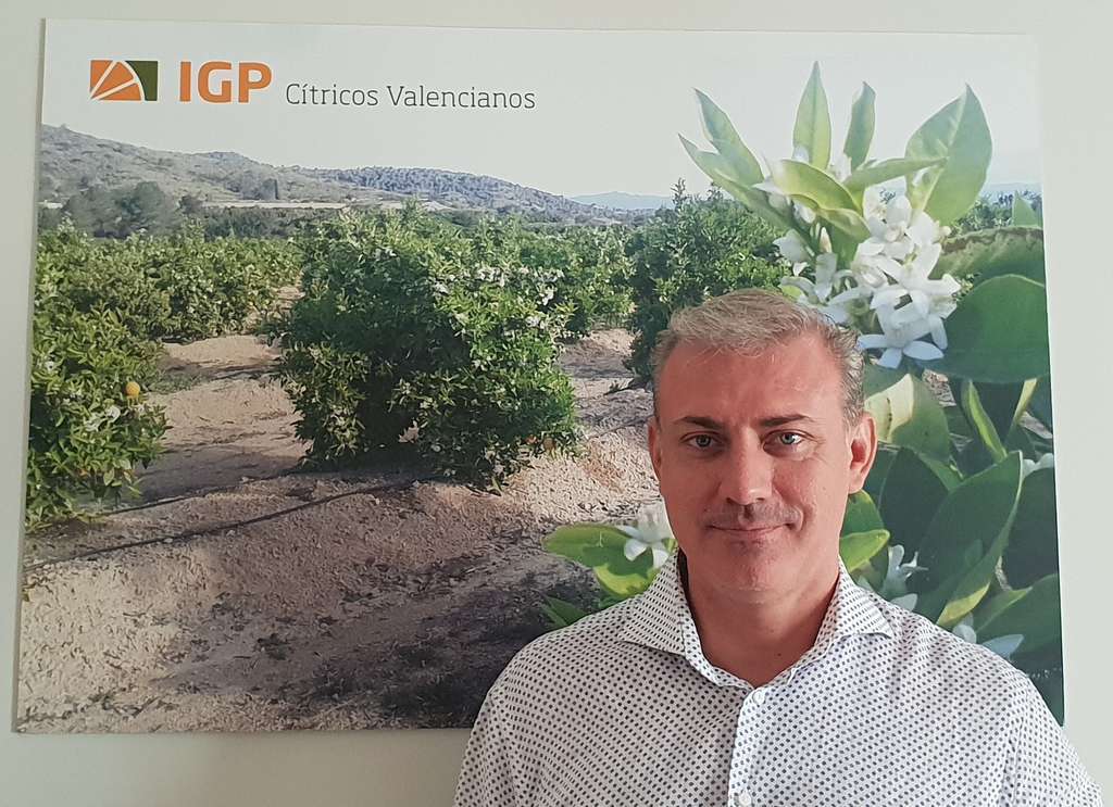 Josu00e9 Enrique Sanz   Gerente IGP Cu00edtricos Valencianos