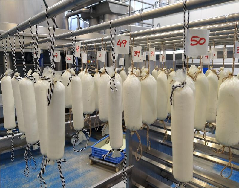 Queso con forma de embutido 1 (Foto IRTA)
