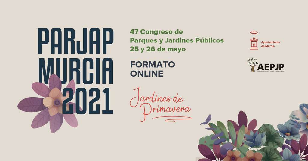 Imagen (1)