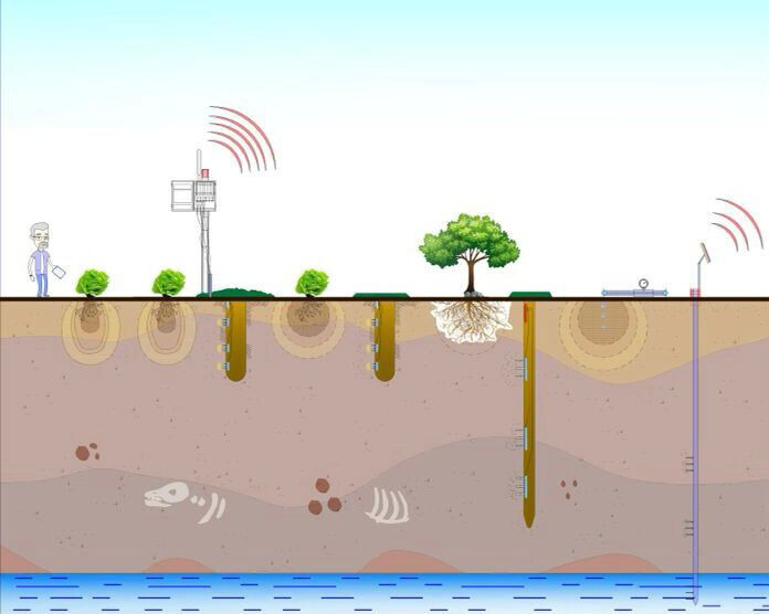 Esquema sondas agrointeligencia artificial 2 (Foto MA Del Amor)