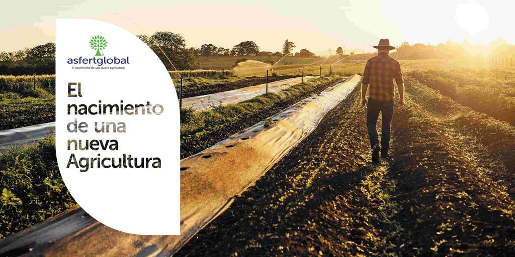 Cartazes institucionais esp morangueiro