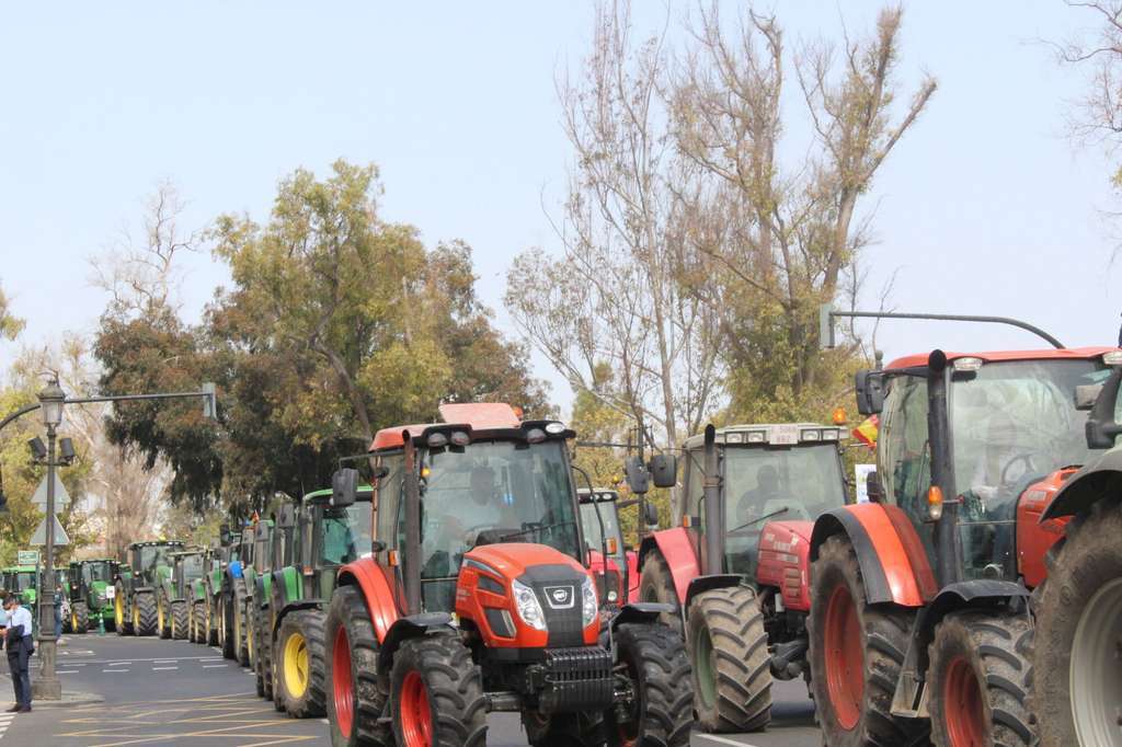 Tractores Valencia arroz