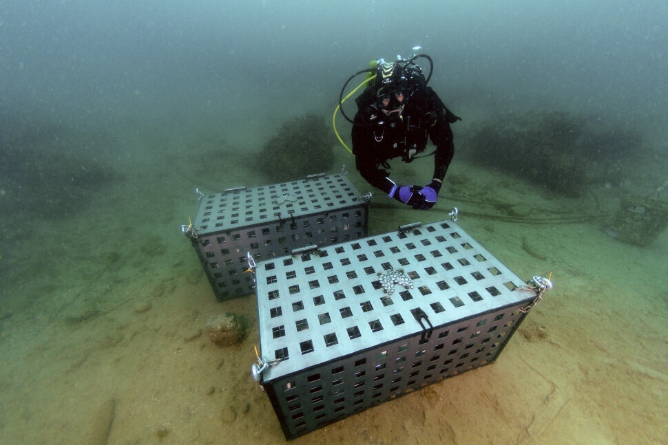 u00c1nforas de vino sumergidas para envejecer (Foto Puerto de Tarragona)