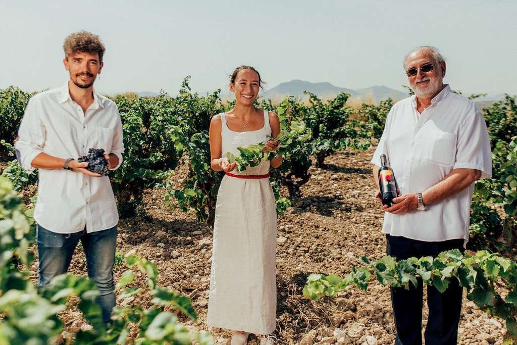 Padriu00f1os au00f1ada 2020 DOP Alicante (Foto Vinos de Alicante)