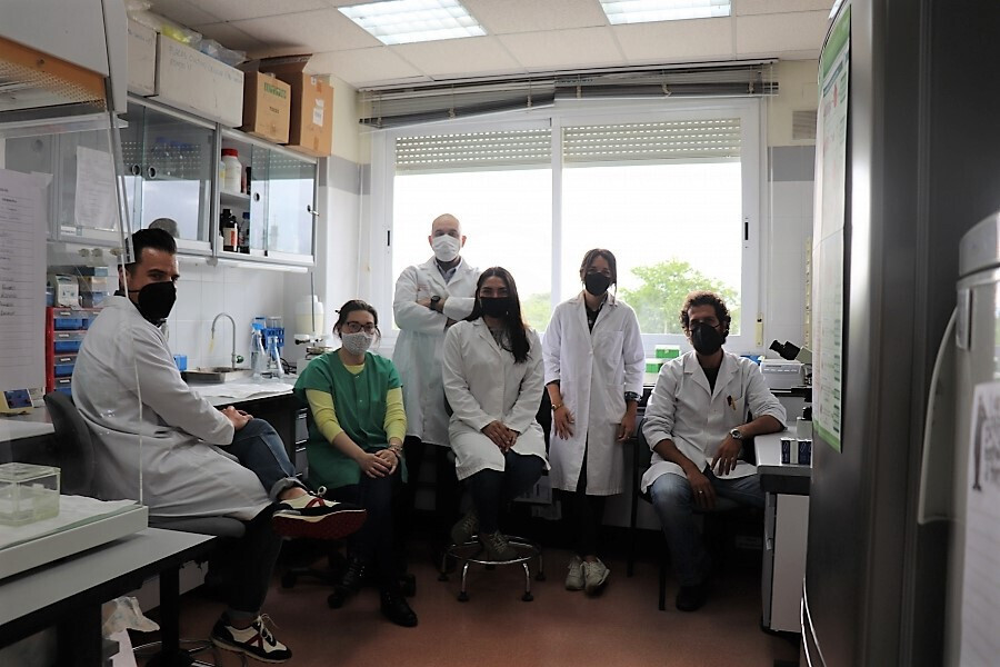 Miembros del grupo de investigaciu00f3n de Anatomu00eda Patolu00f3gica Animal (Foto Univ Cu00f3rdoba)