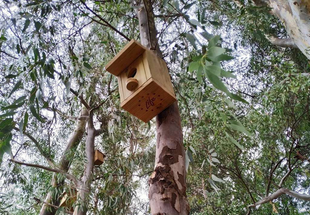 Cajas nido (Foto Proyecto Life Resilience)