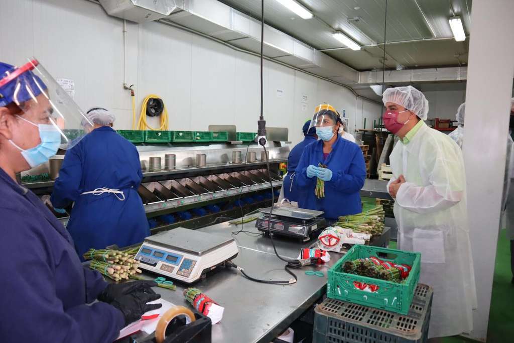 Empresa espu00e1rrago verde Guadalajara industria (Foto Gobierno CLM)
