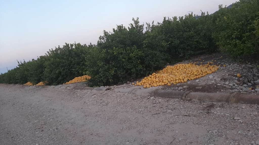 WhatsApp Image 2021 06 10 at 21.17.10