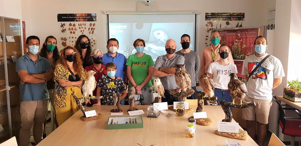 Proyecto lechuza