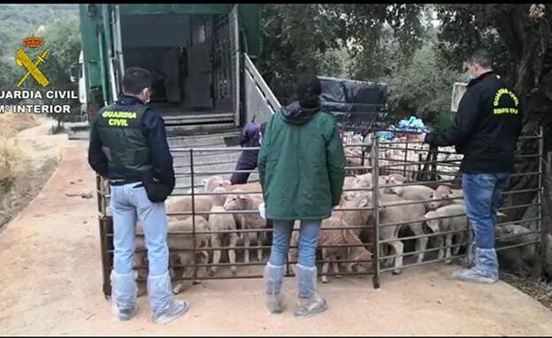 Operacion Tirolo (Foto Guardia Civil)
