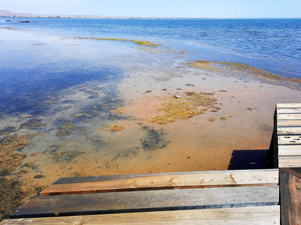 Mar Menos secos lodos pasarela Punta Brava (Foto C.Guardia)