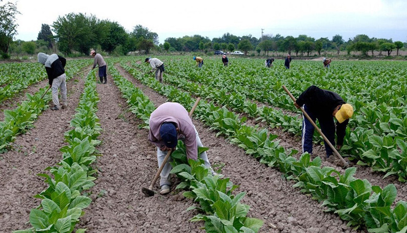 Jornaleros campo (Foto UGT FICA)