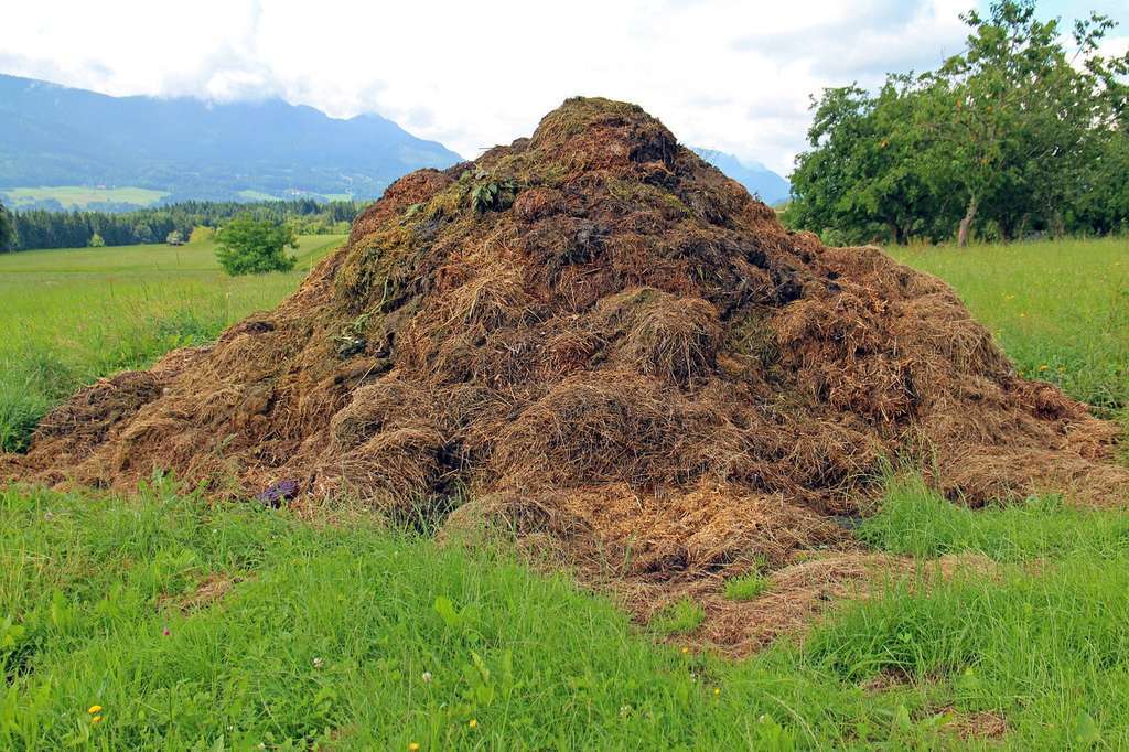 Fertilización recurso (Foto Unión de Uniones)