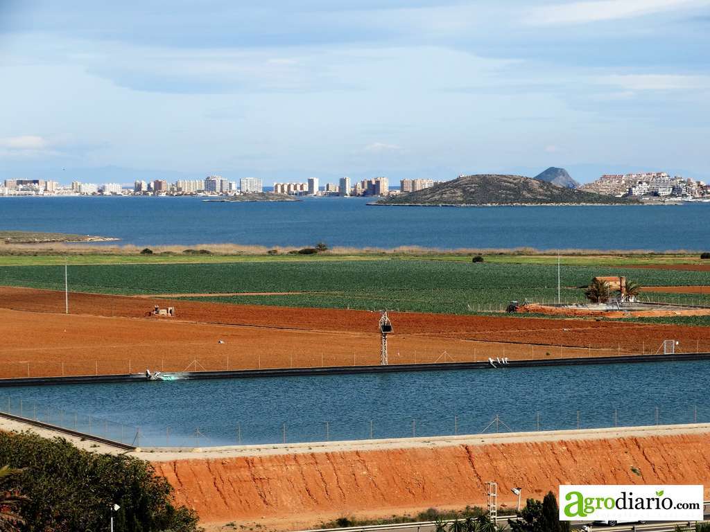 Regadíos Arco Sur Mar Menor (Foto C.Guardia)