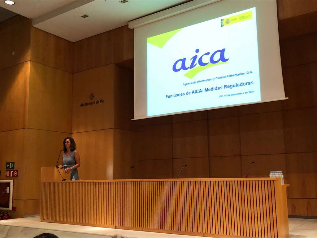 Directoraaicajornadavic2 tcm30 576160