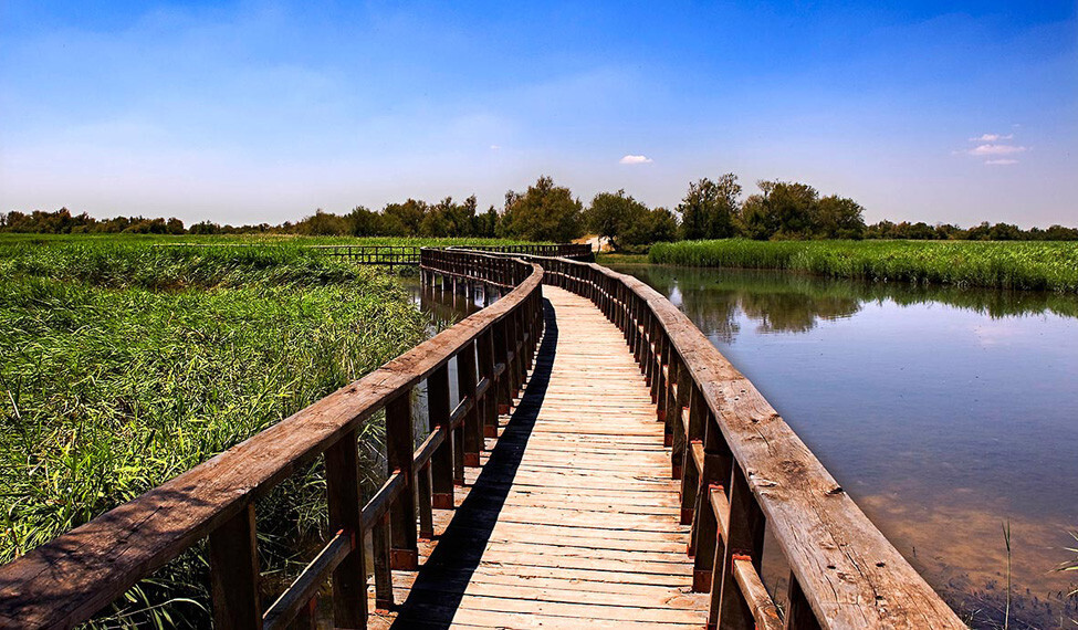 Tablas de daimiel   primavera