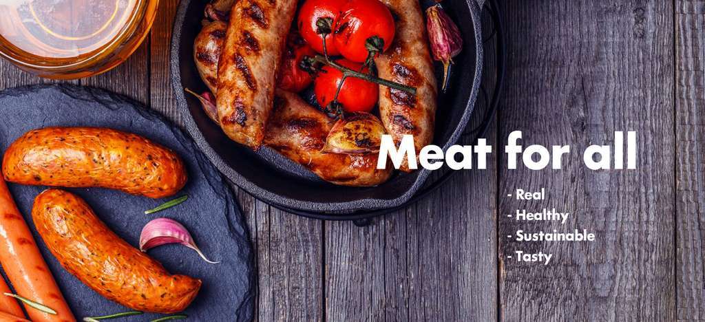 BioTechFood (HomewebBioTechFood)