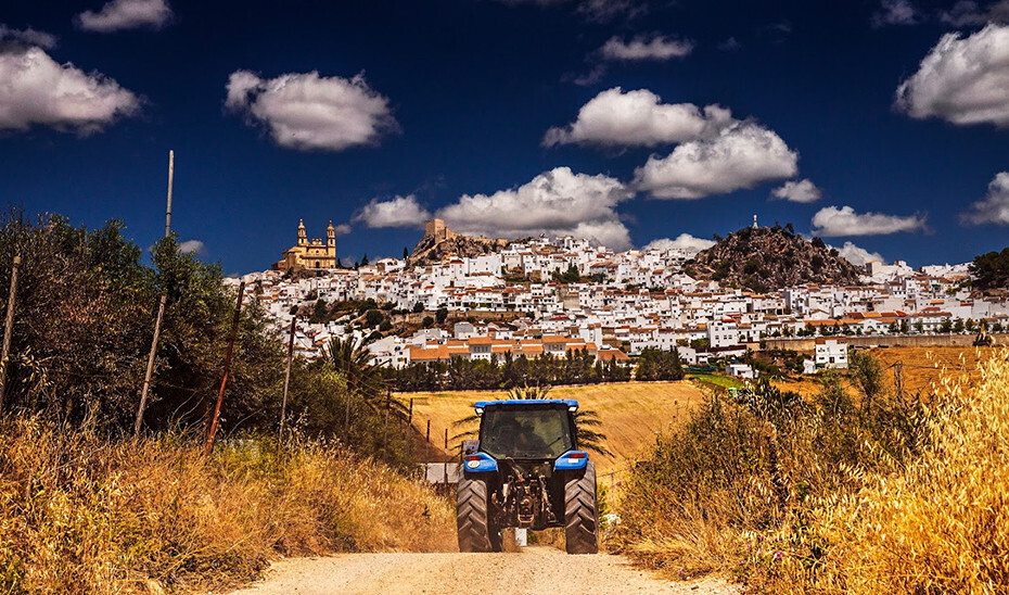Un agricultor en tractor en una zona rural de Andalucía (Foto Junta de Andalucía)