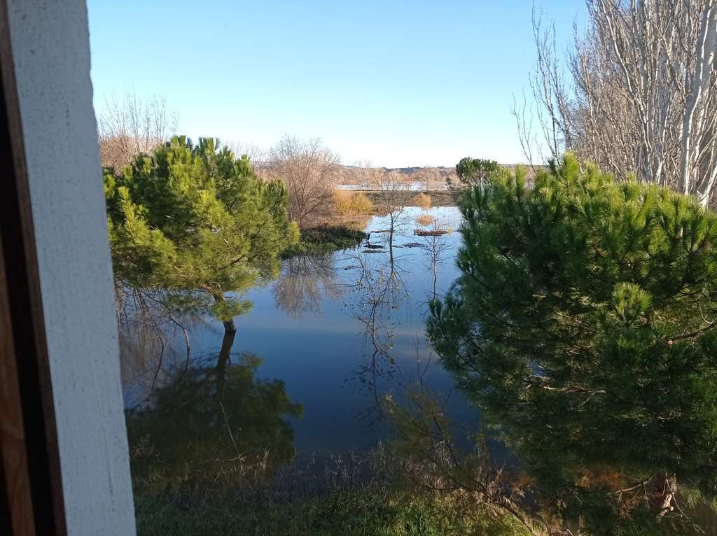 Crecida del Ebro en Aragu00f3n dic2021 (Foto FB UAGA COAG)