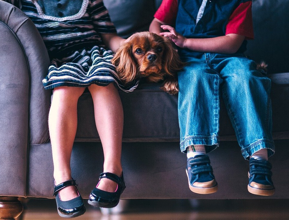 Niños y mascota (Foto PexelsPxby)