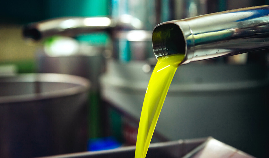 Producción de aceite virgen extra AOVE en una almazara (Foto Junta de Andalucía)