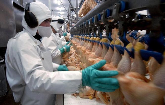 Mataderos aves y conejos (Foto UGT FICA)