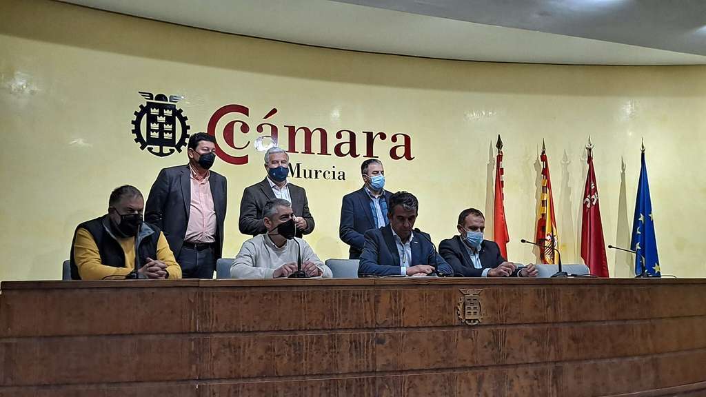 Rueda de Prensa previa 20M (Foto UPA Murcia)