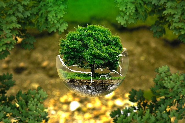 Environmental protection g5ede498c4 640