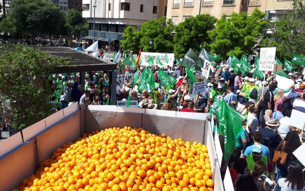 Protesta 17M alicante asaja