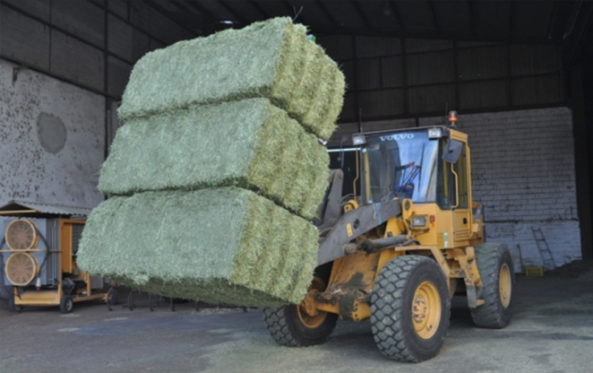 Pacas alfalfa deshidratada con fleje de acero (Foto Coop Agroquivir Aefaweb)