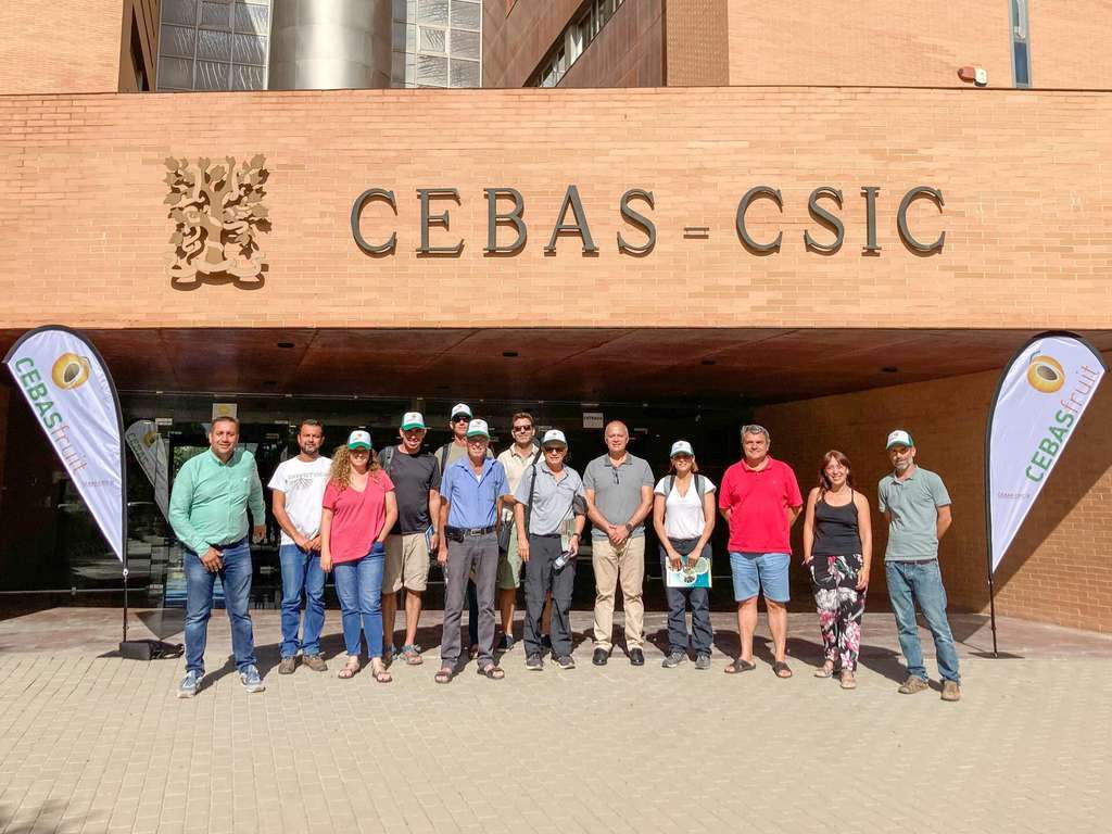 Visita Newe Yaar Research Center (Foto Cebas CSIC)