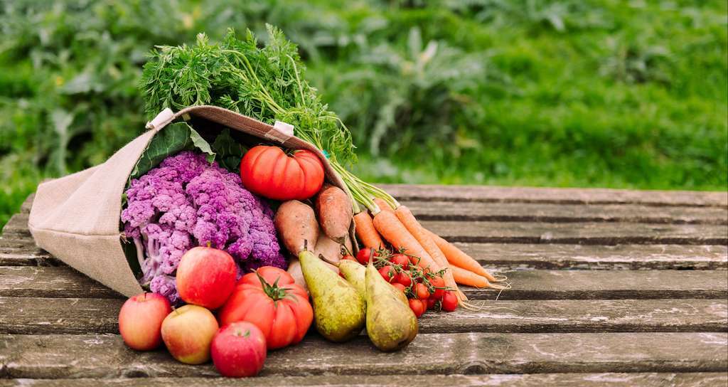 Shutterstock 1933956161 4096 Alimentos (Foto FAOweb)