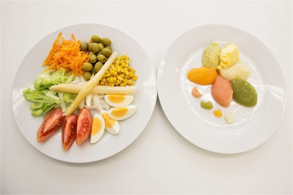 Comida texturizada disfagia (Foto Aspace Jau00e9n)