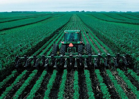 Producciu00f3n soja maiz Argentina (Foto FAOweb)
