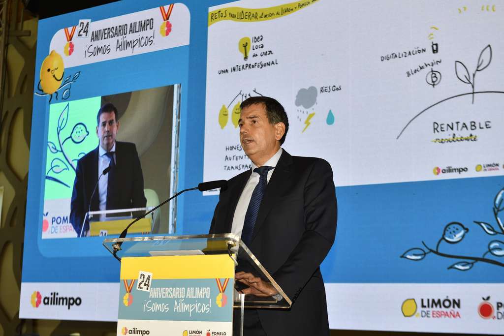 Ailimpo 2020 1 240 