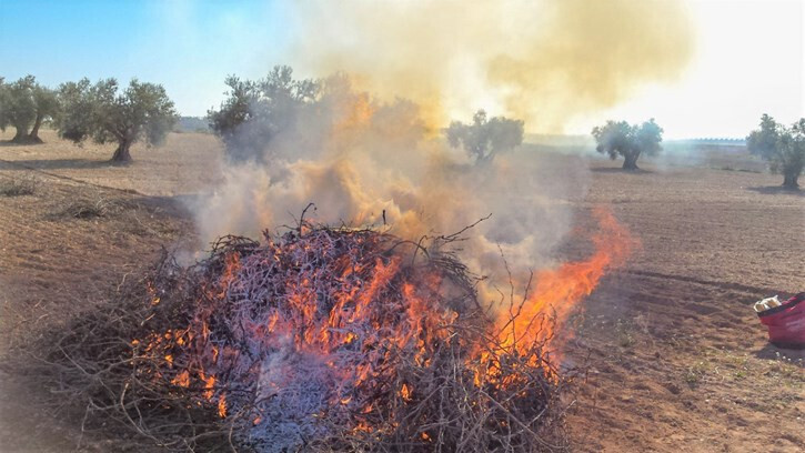 Quemas agrícolas (Foto Unión de Uniones)