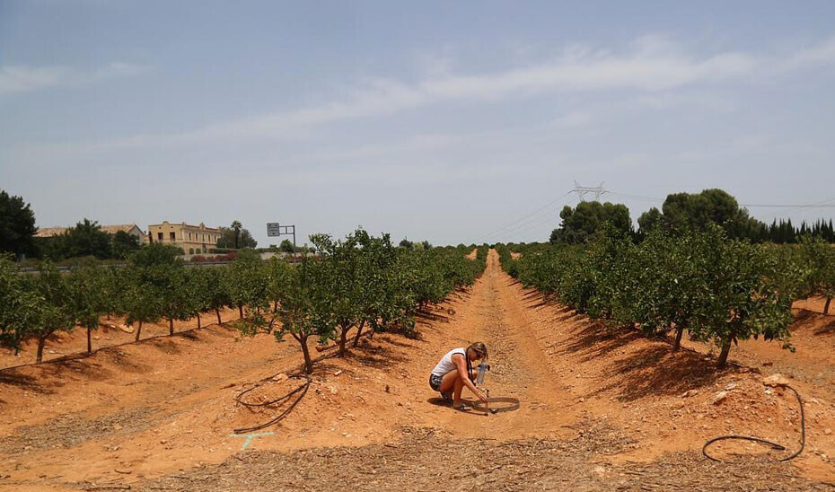 Método Erosion Viña Tocón 2 (Foto Junta de Andalucía)