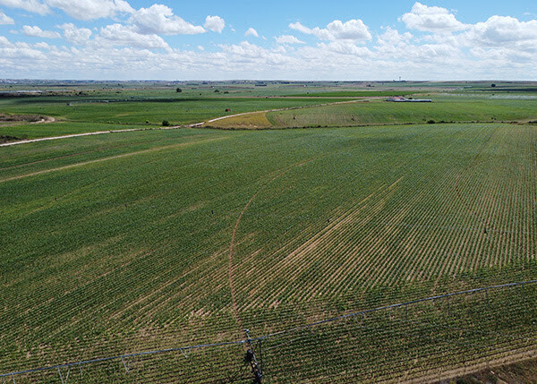 Tierras de regadío en la Ribera del Tormes, en Salamanca (Foto UPA)