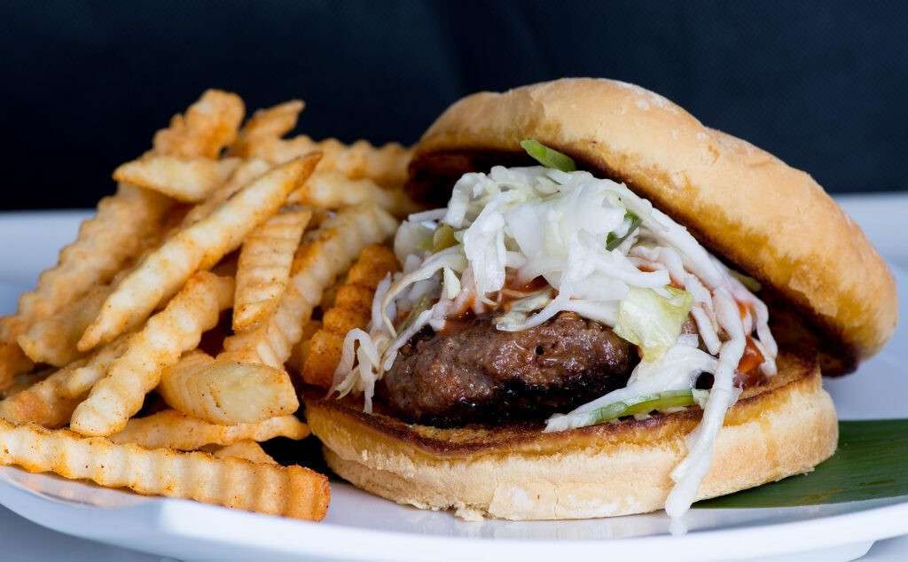 Hamburguesa patatas fritas ultraprocesado (Foto Universidad Rovira i Virgili URV)