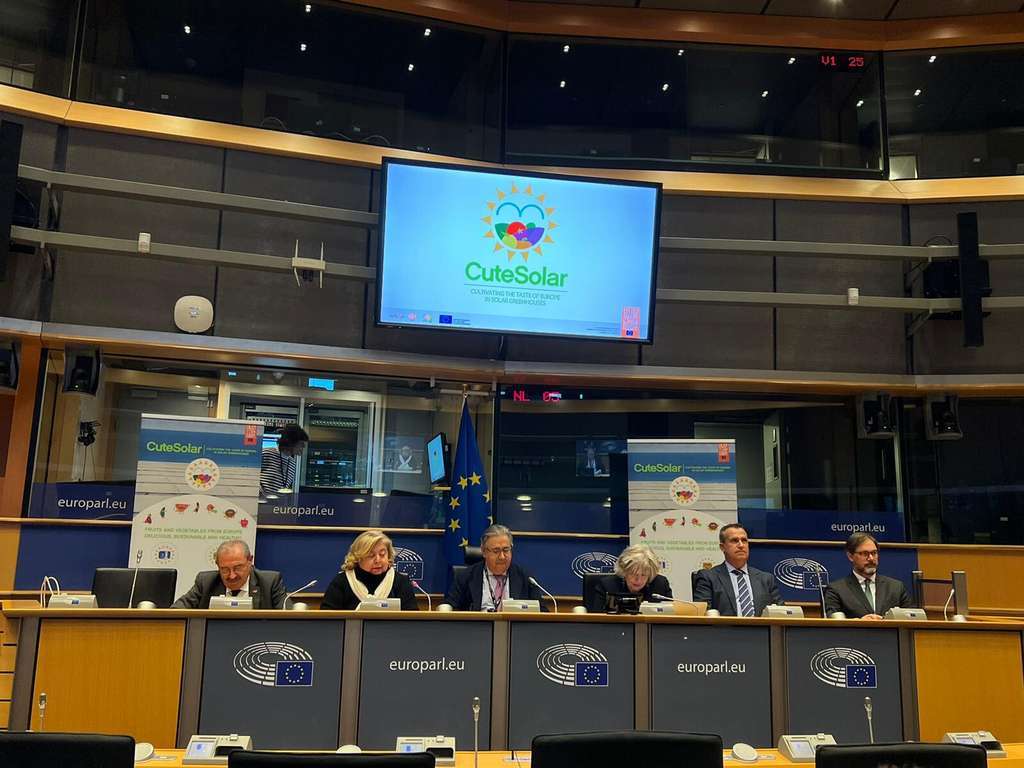 Rueda prensa Parlamento Europeo