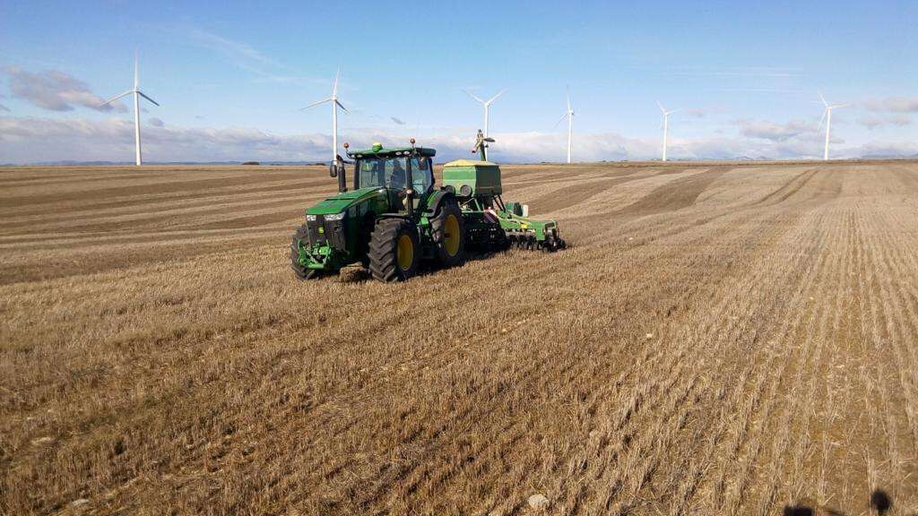 Tractor labrando cereal molinos eólica (Foto Asaja Córdoba)