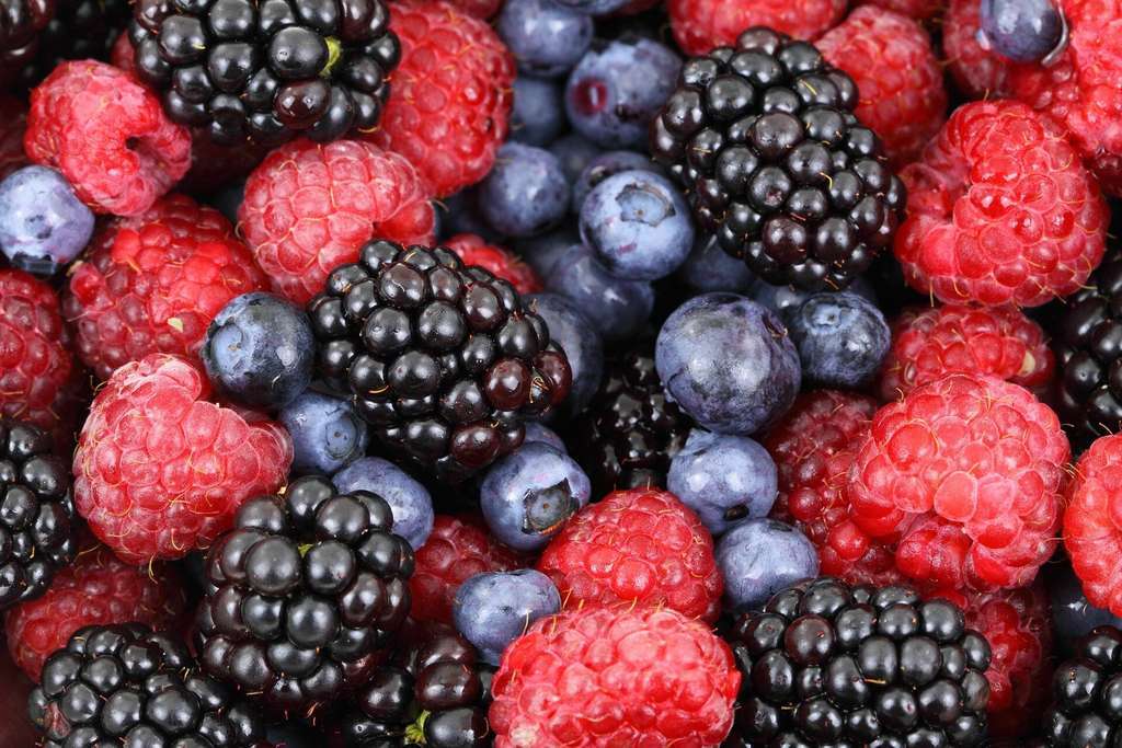 Frutos rojos frambuesa arándamos moras bayas grosella (Foto Extenda)