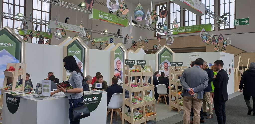 Proexport en Fruit Logu00edstica 22 (2)