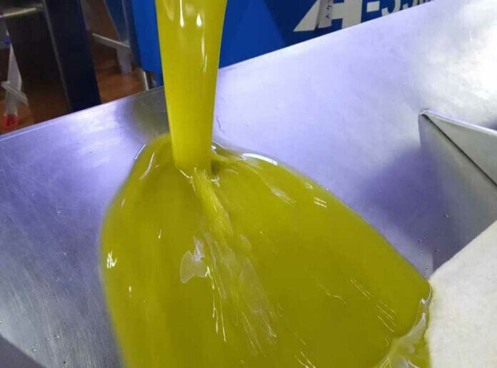 Chorro aceite oliva (Foto COAG Andalucía)