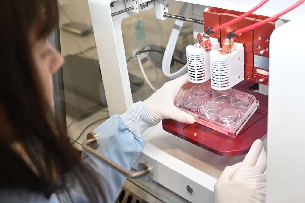 Laboratorio cultivos ceculares de AINIA (AINIA)