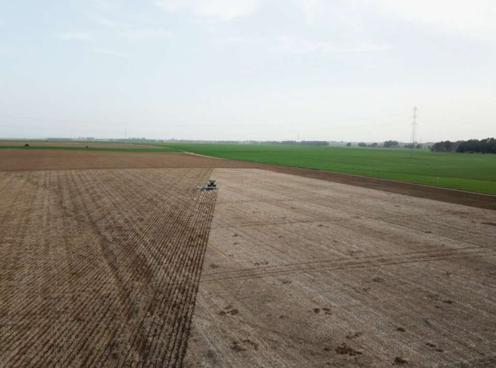 Suelo agrario de cultivo (Foto Asociación Española de Agricultura de Conservación–Suelos Vivos Aeac sv)