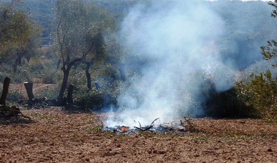 Quema agrícula (Foto Junta de Andalucía)