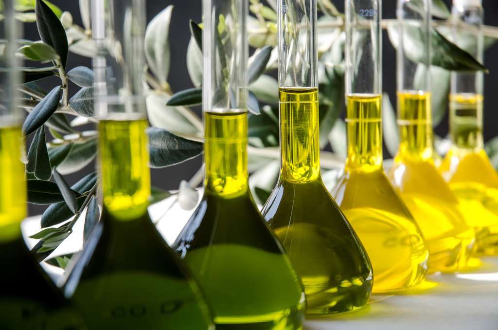 Aceite. csic andalucia