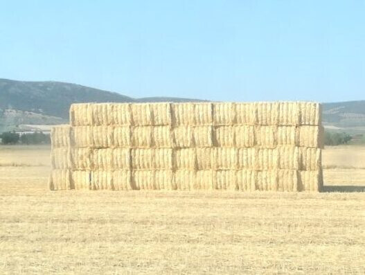 Balas de paja apiladas (Foto Lonja de Leu00f3n)